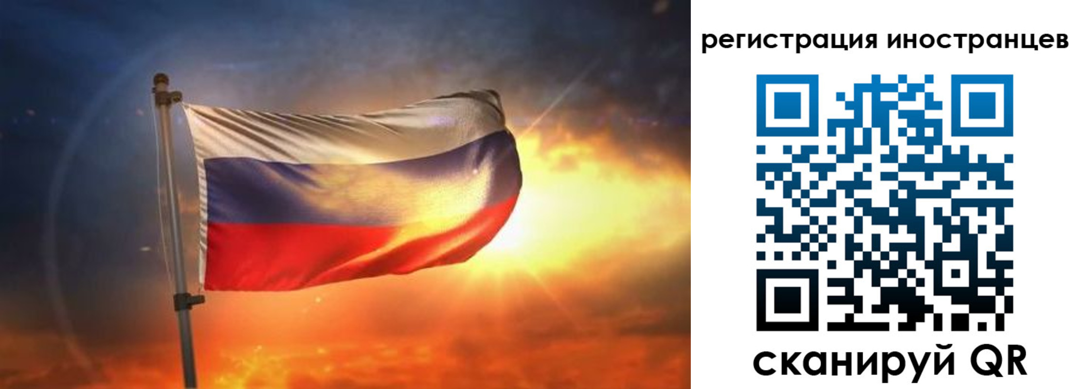 прописка гарантия в Гатчине